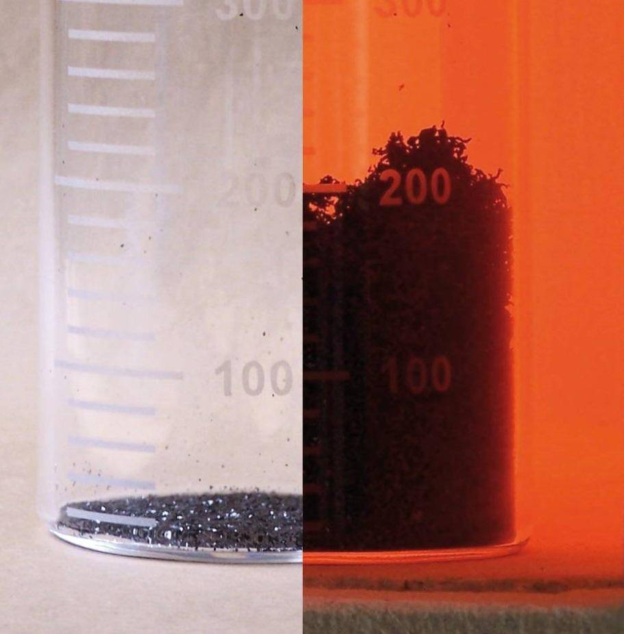 Dynamic Content Image